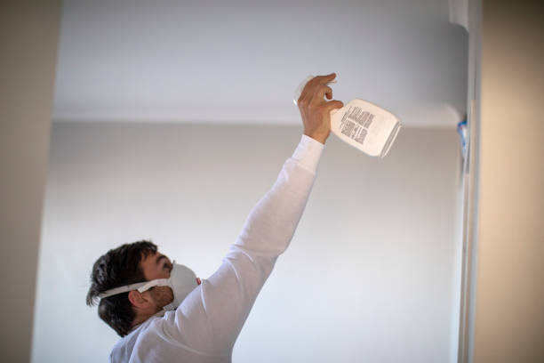 Best Certified Mold Removal  in Perry, UT