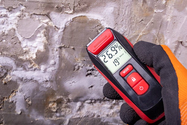 Best Water Damage Restoration  in Perry, UT