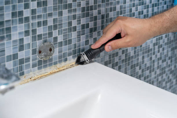 Best Toxic Mold Removal  in Perry, UT